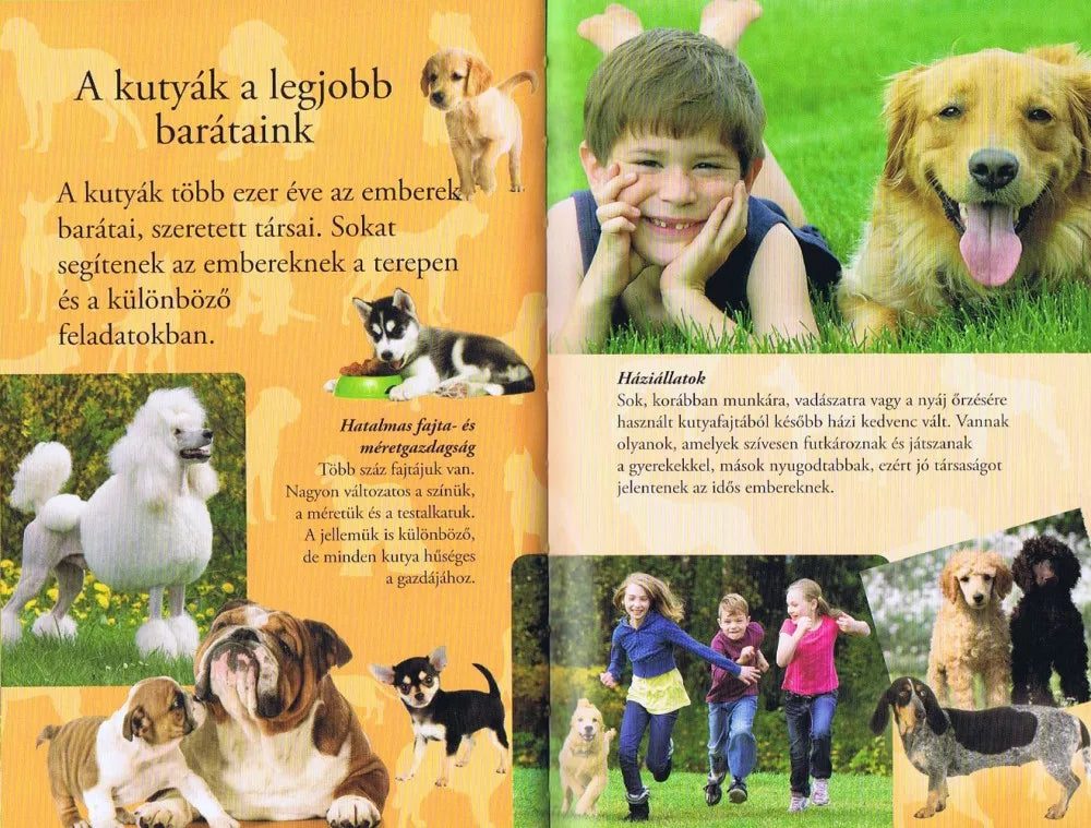 Consuelo Delgado - Barátunk, a kutya (Olvass velünk sorozat)