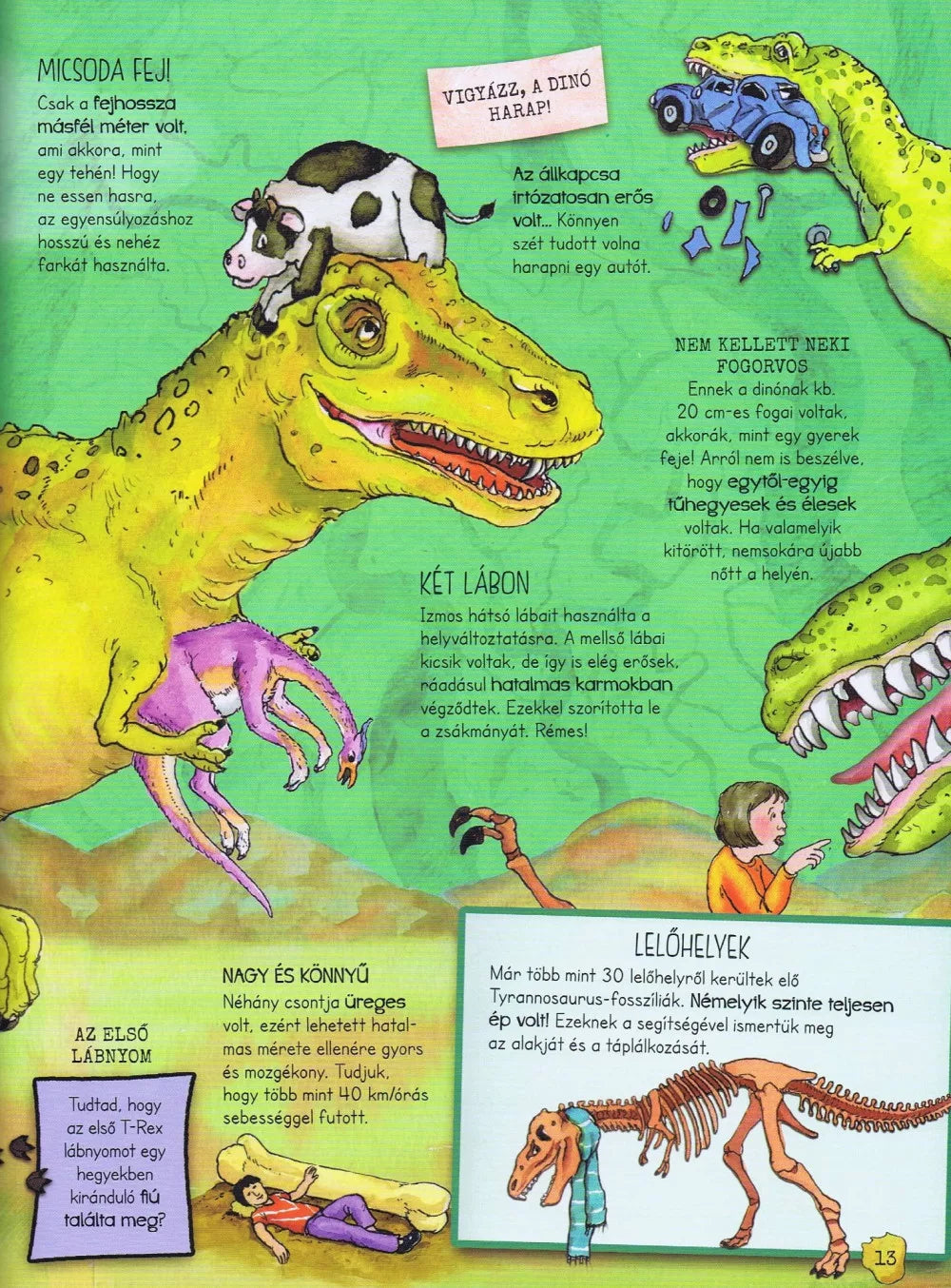 Gisela Socolovsky - A dinoszauruszok élete