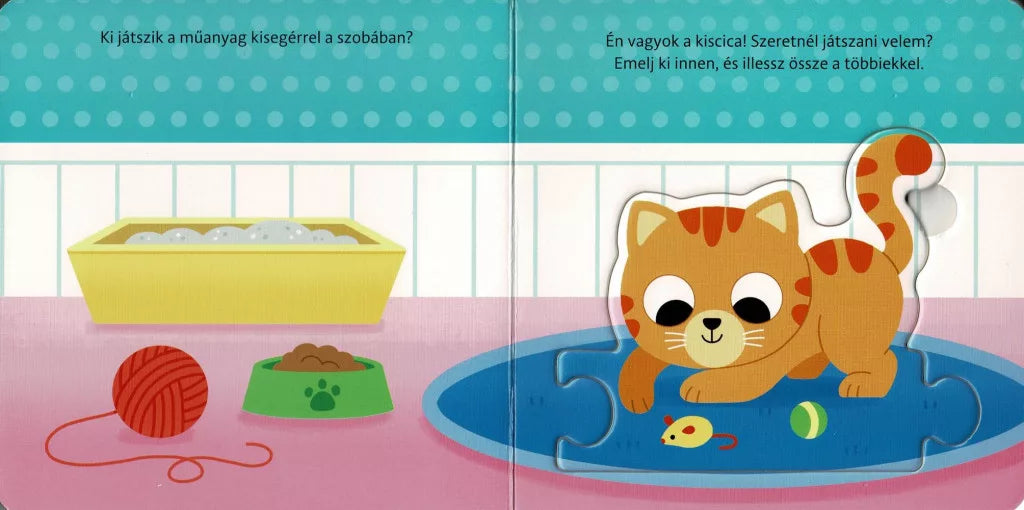 Kicsik kirakója - Házi kedvencek
