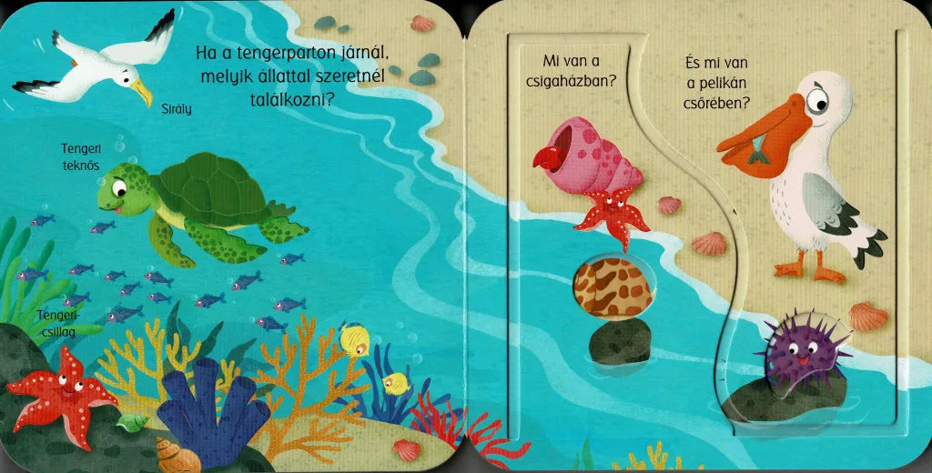 Nyitogatós lapozó Tengeri állatok