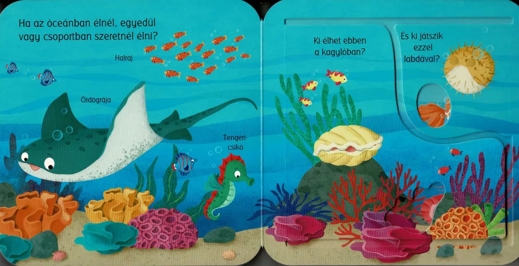 Nyitogatós lapozó Tengeri állatok
