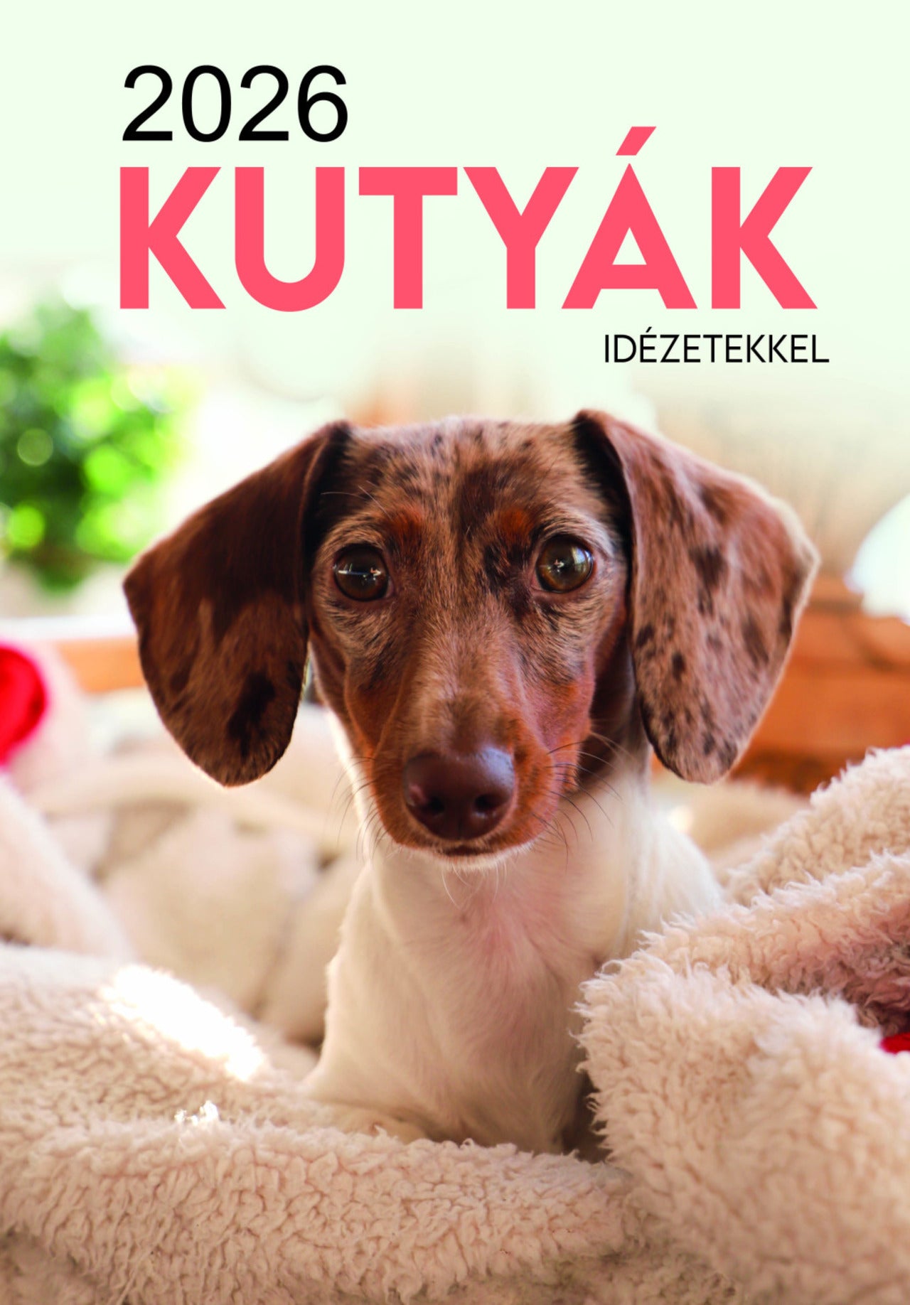 Kutyák falinaptár 2026
