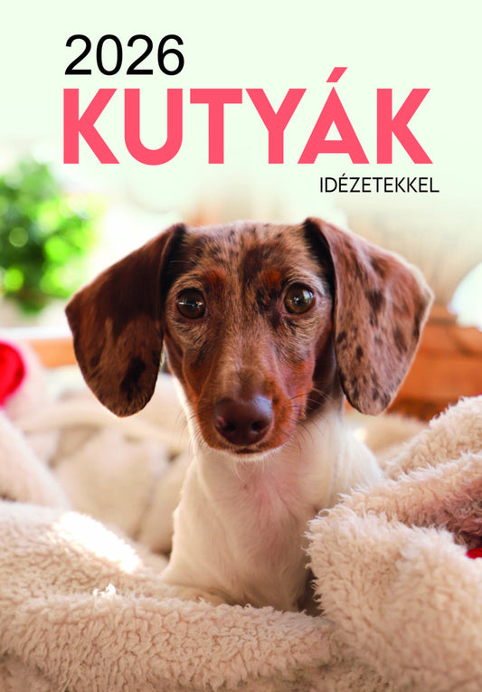 Kutyák falinaptár 2026