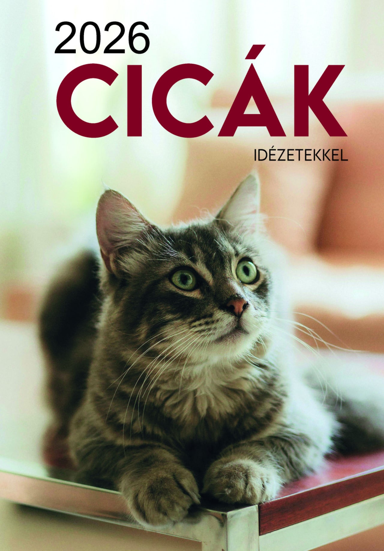 Cicák falinaptár 2026