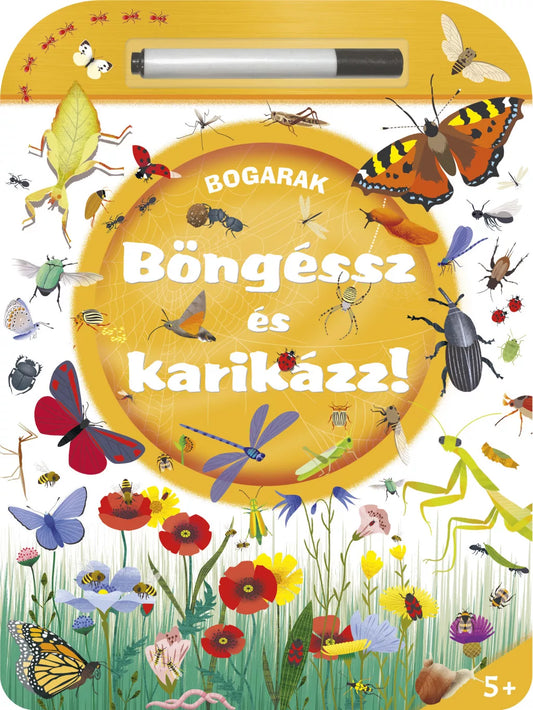 Böngéssz és karikázz! Bogarak